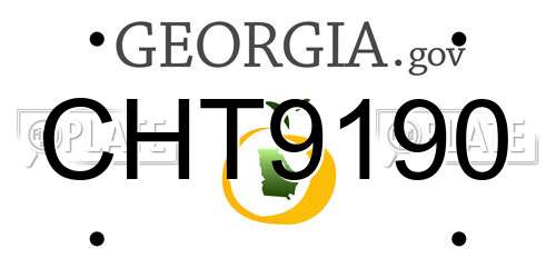 CHT9190 Georgia License Plate