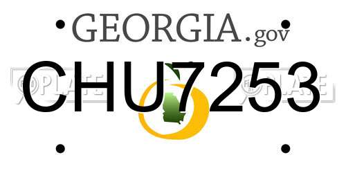 CHU7253 Georgia License Plate
