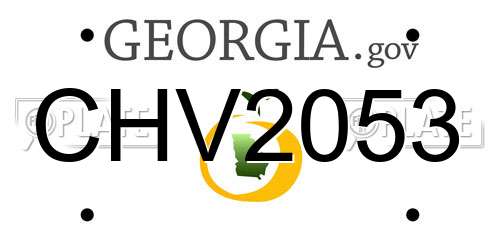 CHV2053 Georgia License Plate