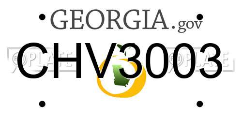 CHV3003 Georgia License Plate