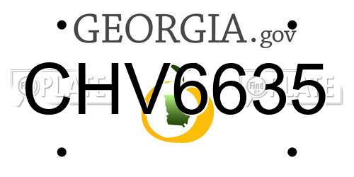 CHV6635 Georgia License Plate