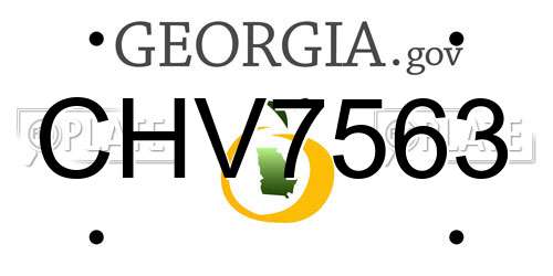 CHV7563 Georgia License Plate