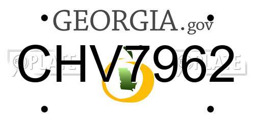 CHV7962 Georgia License Plate