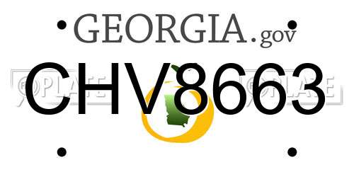 CHV8663 Georgia License Plate