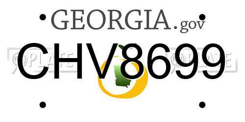CHV8699 Georgia License Plate
