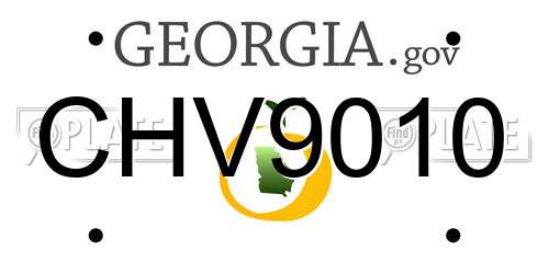 CHV9010 Georgia License Plate