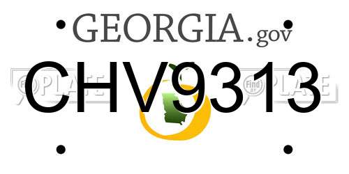 CHV9313 Georgia License Plate
