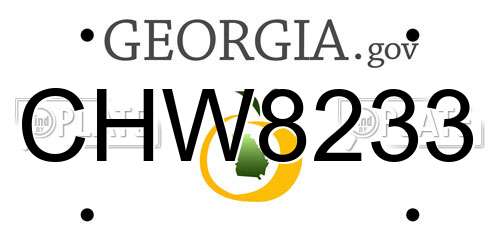 CHW8233 Georgia License Plate