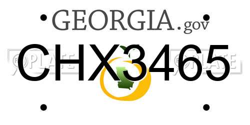 CHX3465 Georgia License Plate