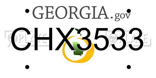 CHX3533 Georgia License Plate
