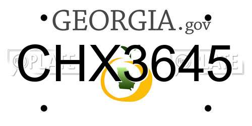CHX3645 Georgia License Plate