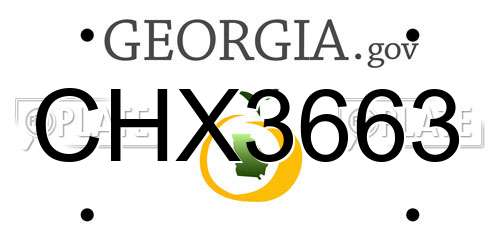 CHX3663 Georgia License Plate