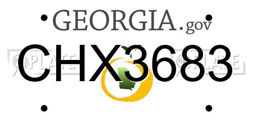 CHX3683 Georgia License Plate