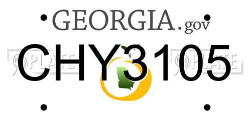CHY3105 Georgia License Plate