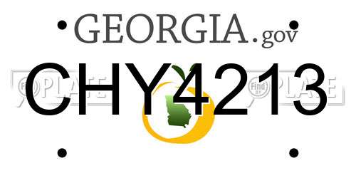 CHY4213 Georgia License Plate