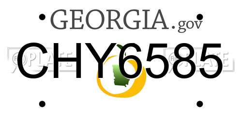 CHY6585 Georgia License Plate