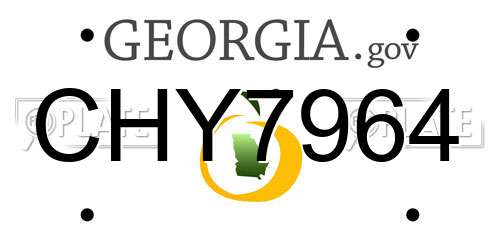 CHY7964 Georgia License Plate
