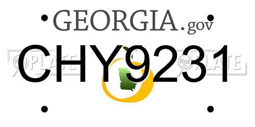 CHY9231 Georgia License Plate