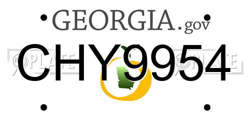 CHY9954 Georgia License Plate
