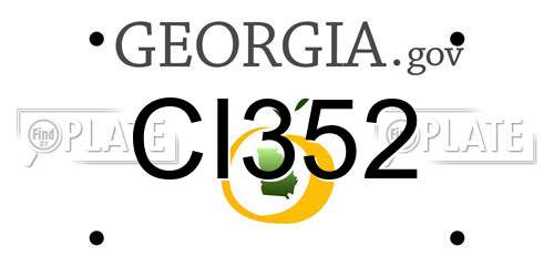 CI352 Georgia License Plate