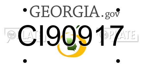 CI90917 Georgia License Plate
