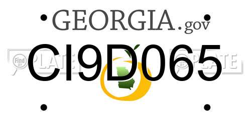 CI9D065 Georgia License Plate