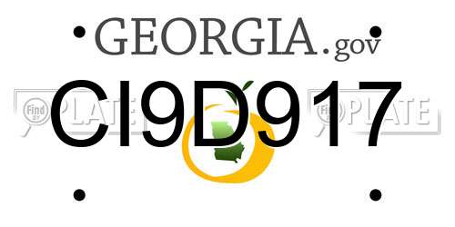 CI9D917 Georgia License Plate