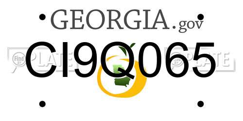 CI9Q065 Georgia License Plate