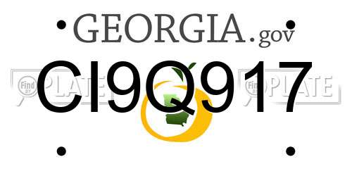 CI9Q917 Georgia License Plate