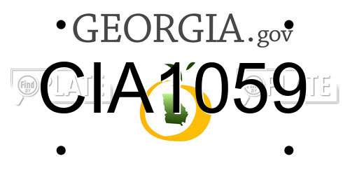 CIA1059 Georgia License Plate