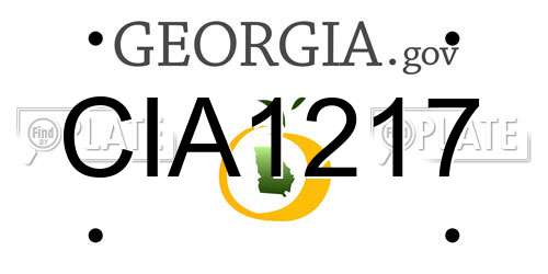 CIA1217 Georgia License Plate