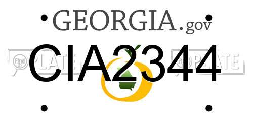 CIA2344 Georgia License Plate