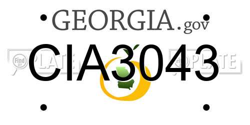 CIA3043 Georgia License Plate