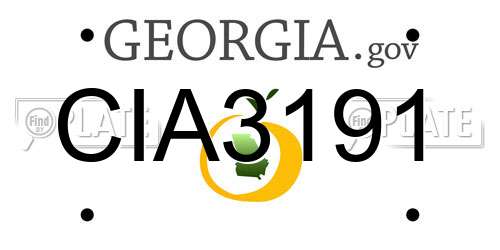 CIA3191 Georgia License Plate