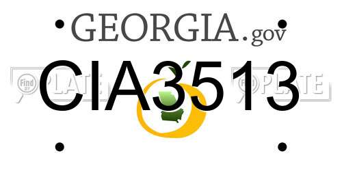 CIA3513 Georgia License Plate