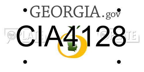 CIA4128 Georgia License Plate