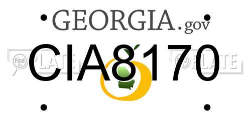 CIA8170 Georgia License Plate