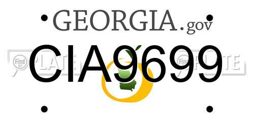 CIA9699 Georgia License Plate