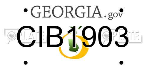 CIB1903 Georgia License Plate