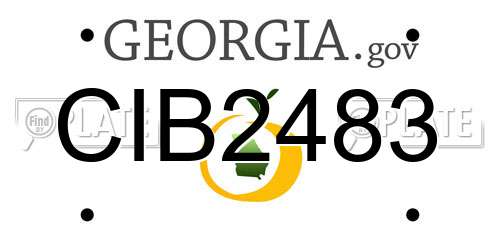 CIB2483 Georgia License Plate