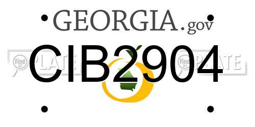 CIB2904 Georgia License Plate