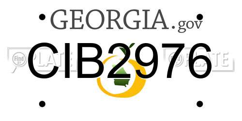 CIB2976 Georgia License Plate