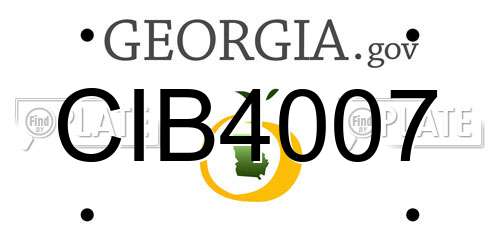 CIB4007 Georgia License Plate