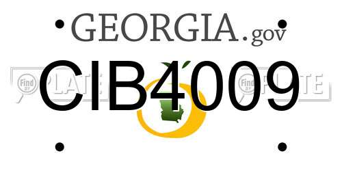 CIB4009 Georgia License Plate