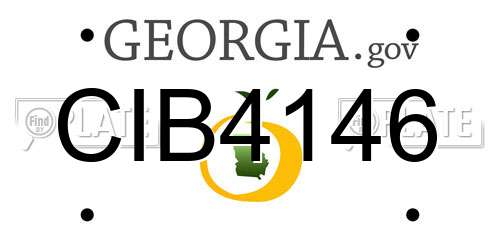 CIB4146 Georgia License Plate