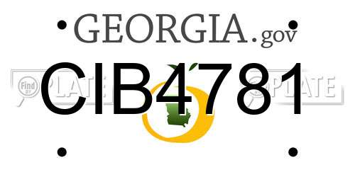CIB4781 Georgia License Plate