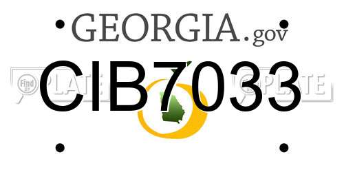 CIB7033 Georgia License Plate