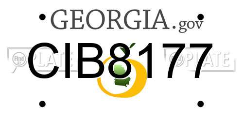 CIB8177 Georgia License Plate