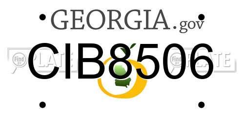 CIB8506 Georgia License Plate