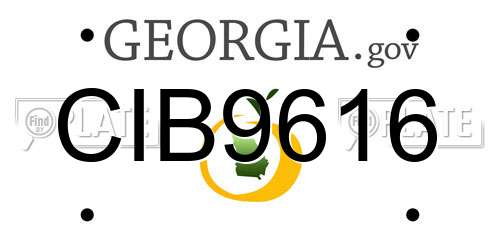 CIB9616 Georgia License Plate